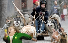 women 4chan cats dogs men funny meme keanu reeves trollface canine 1200x833 wallpaper 